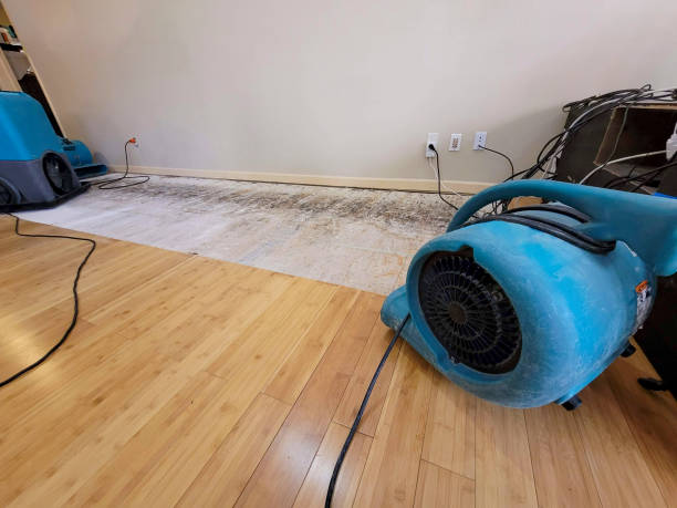 Professional Water Extraction technician working in New Raymer, CO